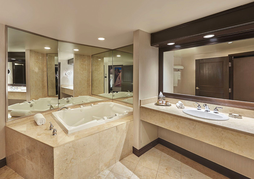 Petite Suite Bathroom