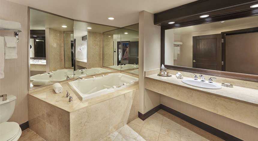 Photograph of Petite Suite Bathroom