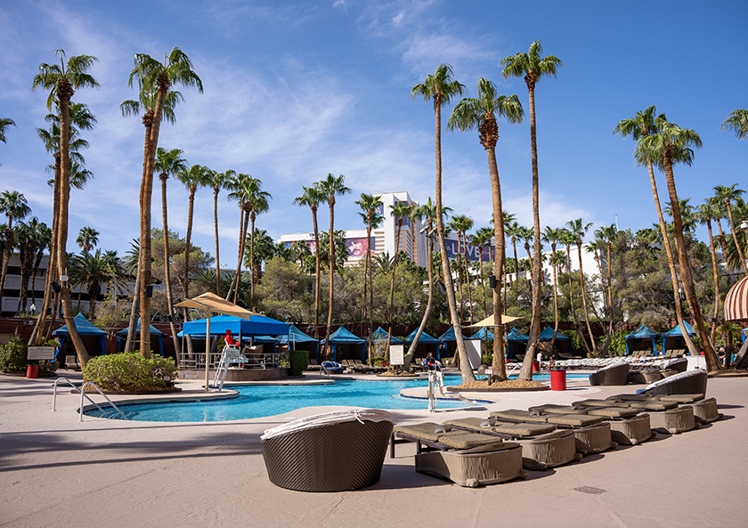 Pool area with no guests, palm trees and lounge chairs.